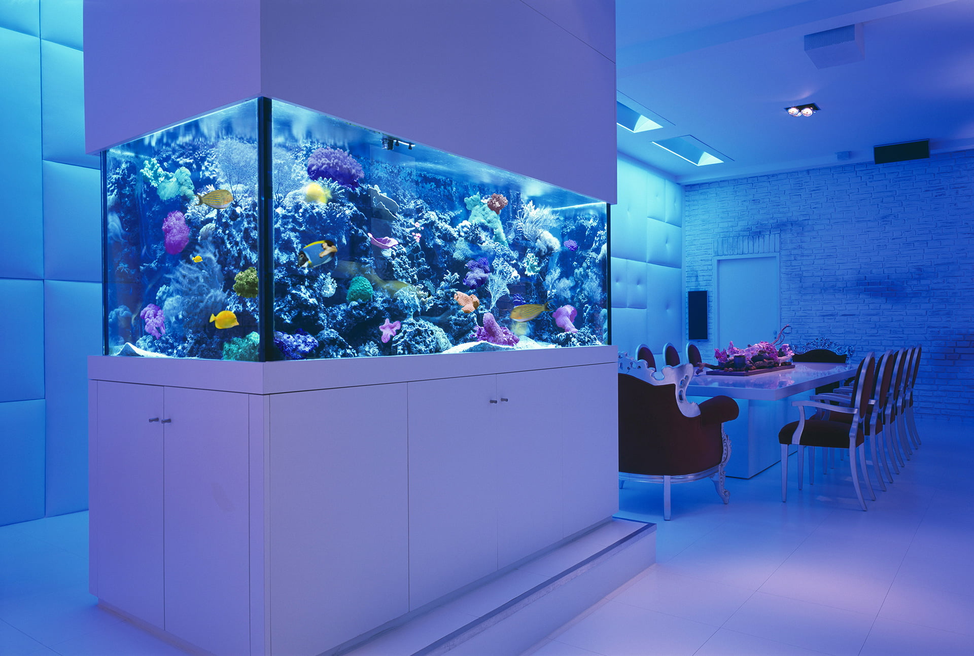 aquarium_and_coral_Lighting_04_UPRTEK_PAR_meter_PFD_meter_PPFD_meter_Quantum_sensor_Spectrometer_flickermeter_radiometer.jpg